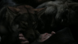 extant_GameOfThrones_1x02-TheKingsroad_3253