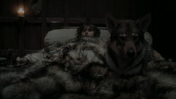 extant_GameOfThrones_1x02-TheKingsroad_3295