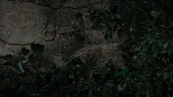 extant_GameOfThrones_1x02-TheKingsroad_3625