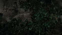 extant_GameOfThrones_1x02-TheKingsroad_3627