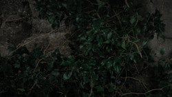 extant_GameOfThrones_1x02-TheKingsroad_3628