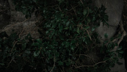 extant_GameOfThrones_1x02-TheKingsroad_3629