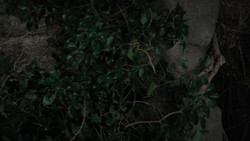extant_GameOfThrones_1x02-TheKingsroad_3630