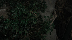 extant_GameOfThrones_1x02-TheKingsroad_3631