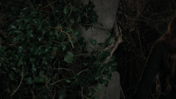extant_GameOfThrones_1x02-TheKingsroad_3632
