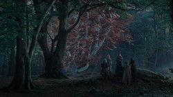 extant_GameOfThrones_1x02-TheKingsroad_3719