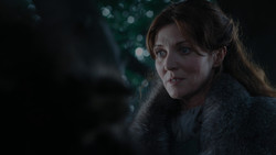 extant_GameOfThrones_1x02-TheKingsroad_3763