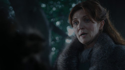 extant_GameOfThrones_1x02-TheKingsroad_3894