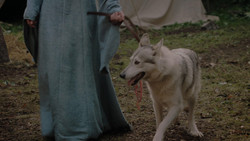 extant_GameOfThrones_1x02-TheKingsroad_4483