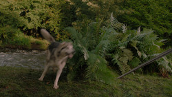 extant_GameOfThrones_1x02-TheKingsroad_4852