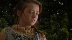 extant_GameOfThrones_1x02-TheKingsroad_4874