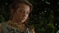 extant_GameOfThrones_1x02-TheKingsroad_4880