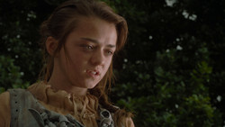 extant_GameOfThrones_1x02-TheKingsroad_4892