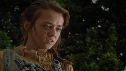 extant_GameOfThrones_1x02-TheKingsroad_4893