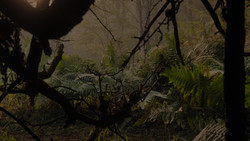 extant_GameOfThrones_1x02-TheKingsroad_4943