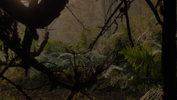 extant_GameOfThrones_1x02-TheKingsroad_4946