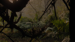 extant_GameOfThrones_1x02-TheKingsroad_4947