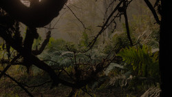 extant_GameOfThrones_1x02-TheKingsroad_4948