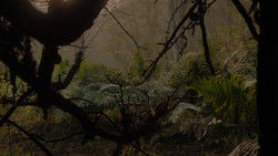 extant_GameOfThrones_1x02-TheKingsroad_4949
