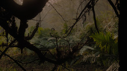 extant_GameOfThrones_1x02-TheKingsroad_4951