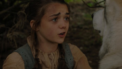 extant_GameOfThrones_1x02-TheKingsroad_4964