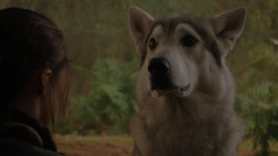 extant_GameOfThrones_1x02-TheKingsroad_4976