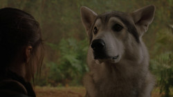extant_GameOfThrones_1x02-TheKingsroad_4977
