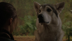 extant_GameOfThrones_1x02-TheKingsroad_4978