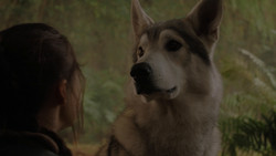 extant_GameOfThrones_1x02-TheKingsroad_4980