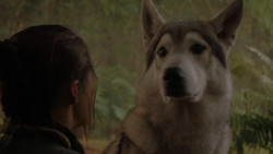 extant_GameOfThrones_1x02-TheKingsroad_4981