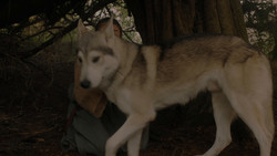 extant_GameOfThrones_1x02-TheKingsroad_4982