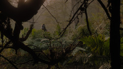extant_GameOfThrones_1x02-TheKingsroad_4989