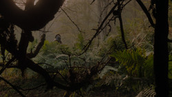 extant_GameOfThrones_1x02-TheKingsroad_4990