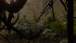 extant_GameOfThrones_1x02-TheKingsroad_4991