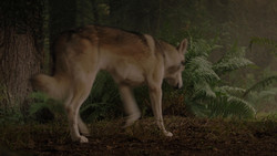 extant_GameOfThrones_1x02-TheKingsroad_4993
