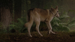 extant_GameOfThrones_1x02-TheKingsroad_4994