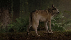 extant_GameOfThrones_1x02-TheKingsroad_4995
