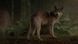 extant_GameOfThrones_1x02-TheKingsroad_4996