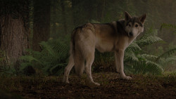 extant_GameOfThrones_1x02-TheKingsroad_5001