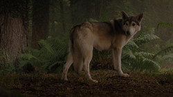 extant_GameOfThrones_1x02-TheKingsroad_5002