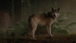 extant_GameOfThrones_1x02-TheKingsroad_5007