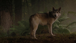 extant_GameOfThrones_1x02-TheKingsroad_5008