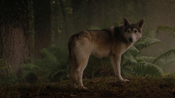extant_GameOfThrones_1x02-TheKingsroad_5009