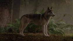 extant_GameOfThrones_1x02-TheKingsroad_5012