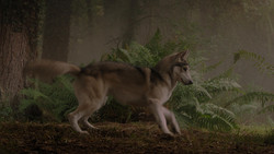 extant_GameOfThrones_1x02-TheKingsroad_5013