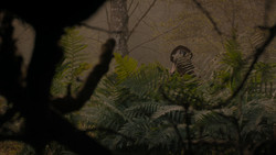 extant_GameOfThrones_1x02-TheKingsroad_5022