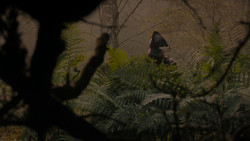 extant_GameOfThrones_1x02-TheKingsroad_5023