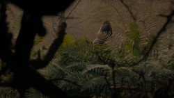 extant_GameOfThrones_1x02-TheKingsroad_5025