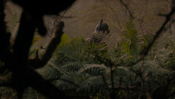 extant_GameOfThrones_1x02-TheKingsroad_5026