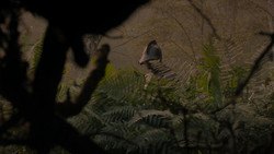 extant_GameOfThrones_1x02-TheKingsroad_5029